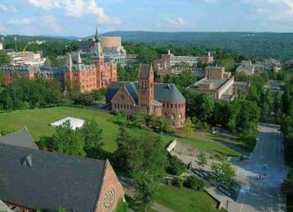 University in canada