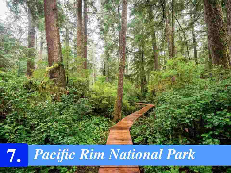 Pacific Rim National Park