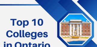 Top 10 Colleges in Ontario