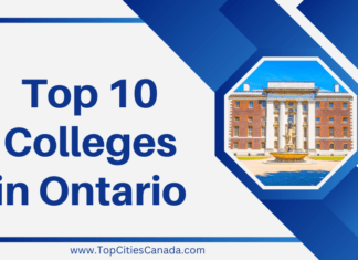 Top 10 Colleges in Ontario