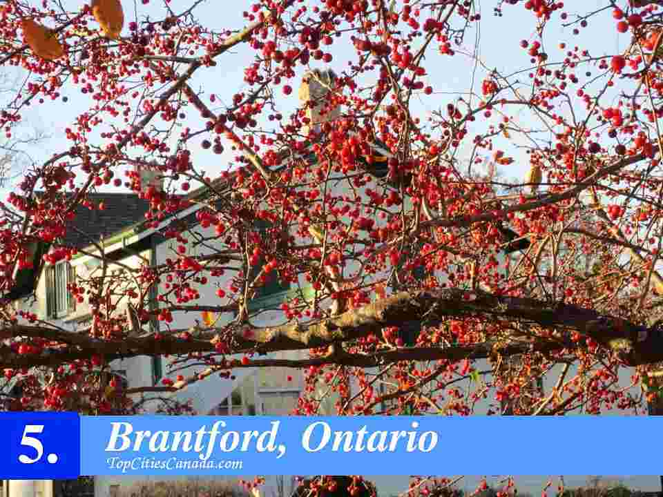 Brantford, Ontario