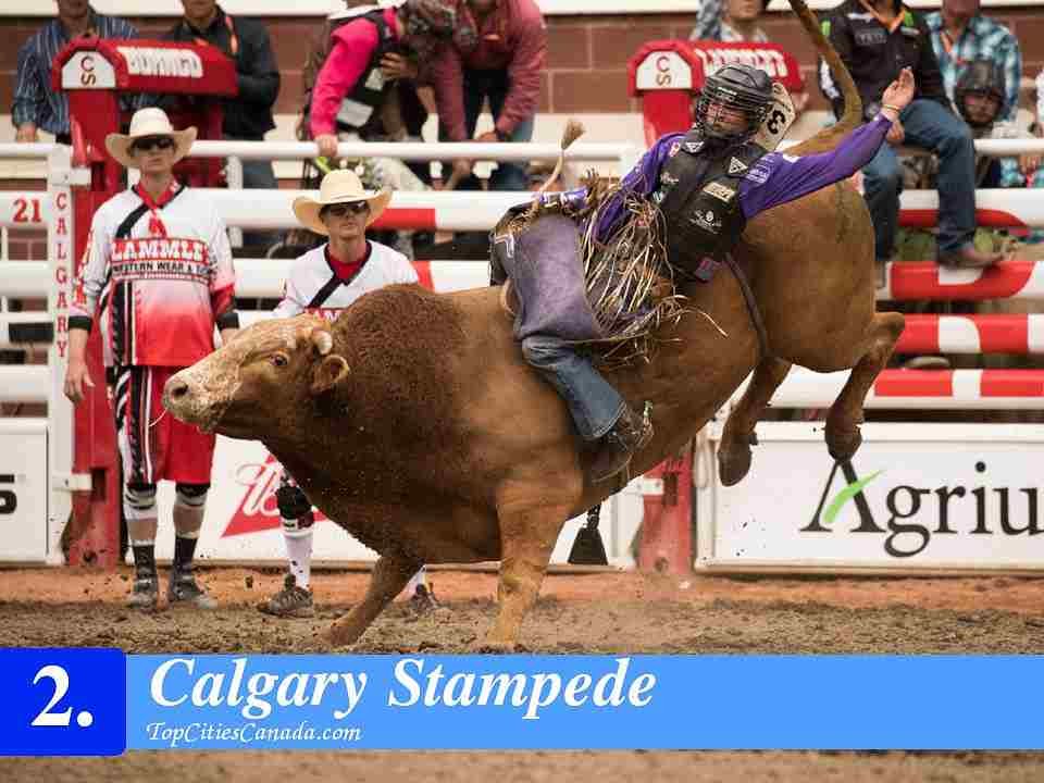 Calgary Stampede