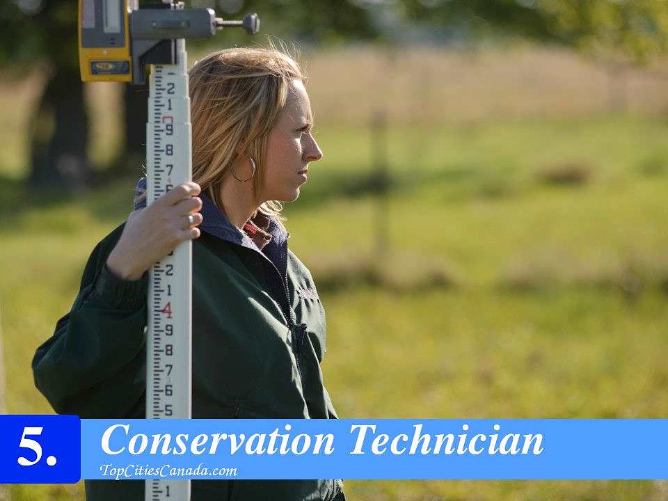 Conservation Technician
