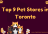 Pet Stores in Toronto