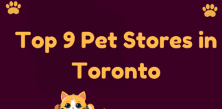 Pet Stores in Toronto