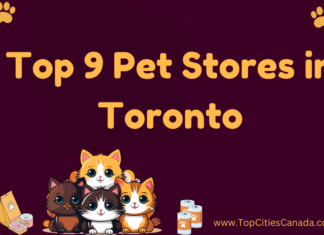 Pet Stores in Toronto