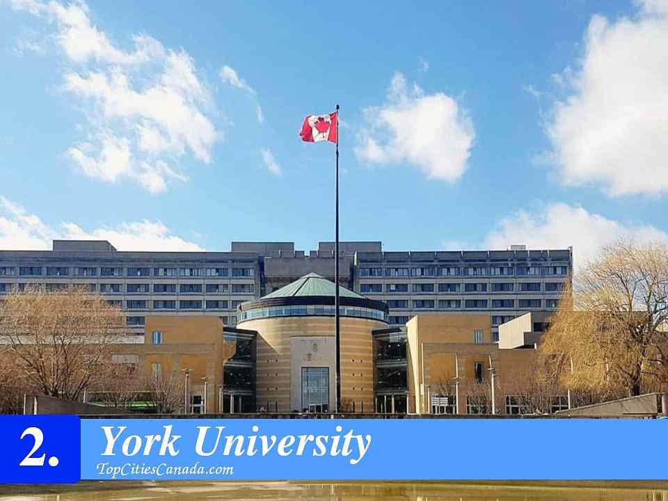  York University