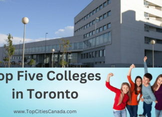 Colleges in Toronto