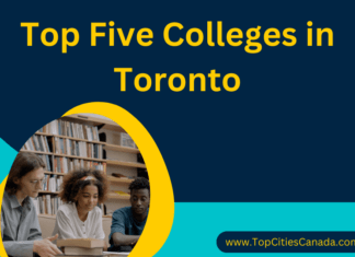 Colleges in Toronto