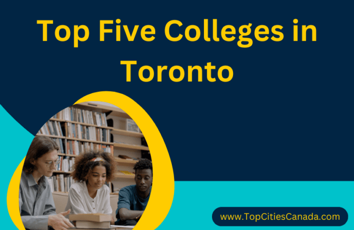 Colleges in Toronto