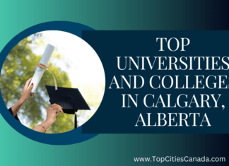 Colleges in Calgary