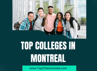 Colleges in Montreal