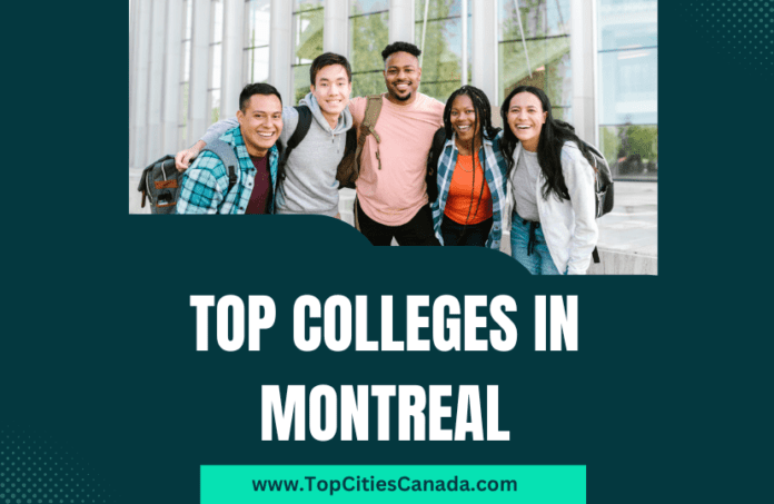 Colleges in Montreal