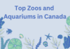 Top Zoos and Aquariums in Canada