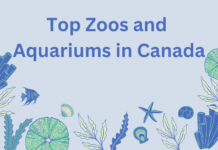 Top Zoos and Aquariums in Canada