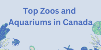 Top Zoos and Aquariums in Canada