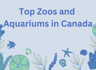 Top Zoos and Aquariums in Canada