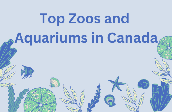 Top Zoos and Aquariums in Canada